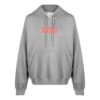 Slogan Print Hoodie “Grey”